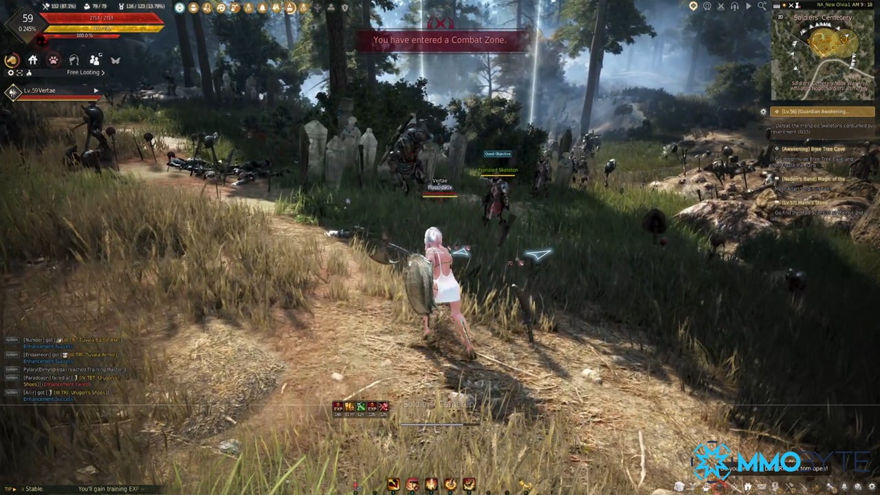 Is BLACK DESERT ONLINE Worth Playing in 2022? An MMO Review